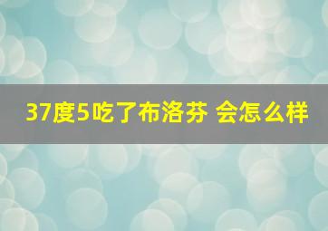 37度5吃了布洛芬 会怎么样